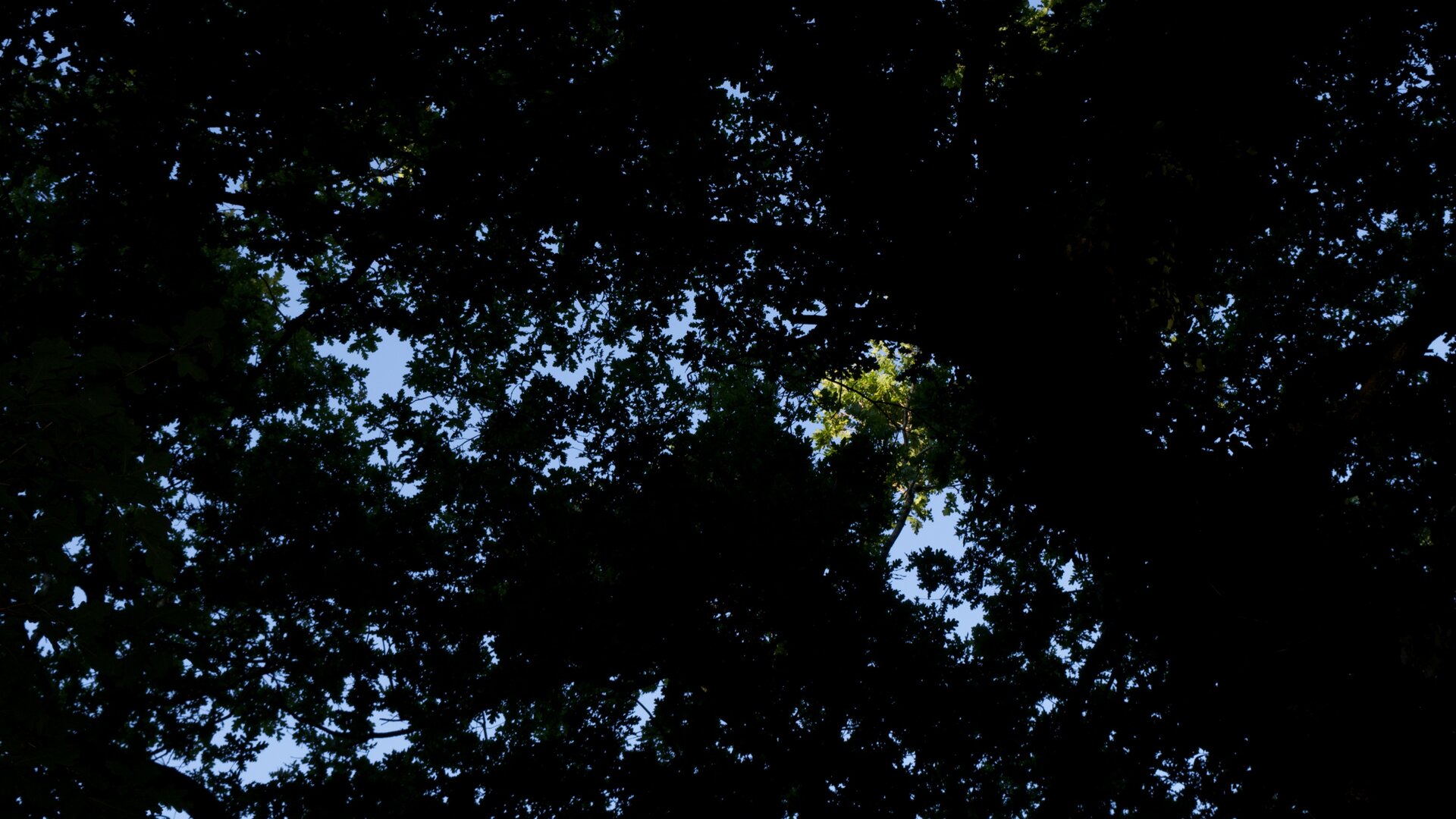 Serras de Valongo e paisagem natural do concelho de Valongo